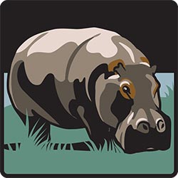 NZP wayfinding symbol: Hippopotamus for Smithsonian Institution