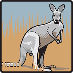 NZP wayfinding symbol: Kangaroos for Smithsonian Institution