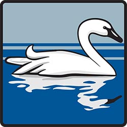 NZP wayfinding symbol: Wetlands (Swan) for Smithsonian Institution