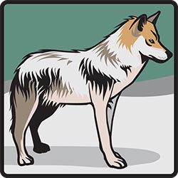 NZP wayfinding symbol: Wolves for Smithsonian Institution